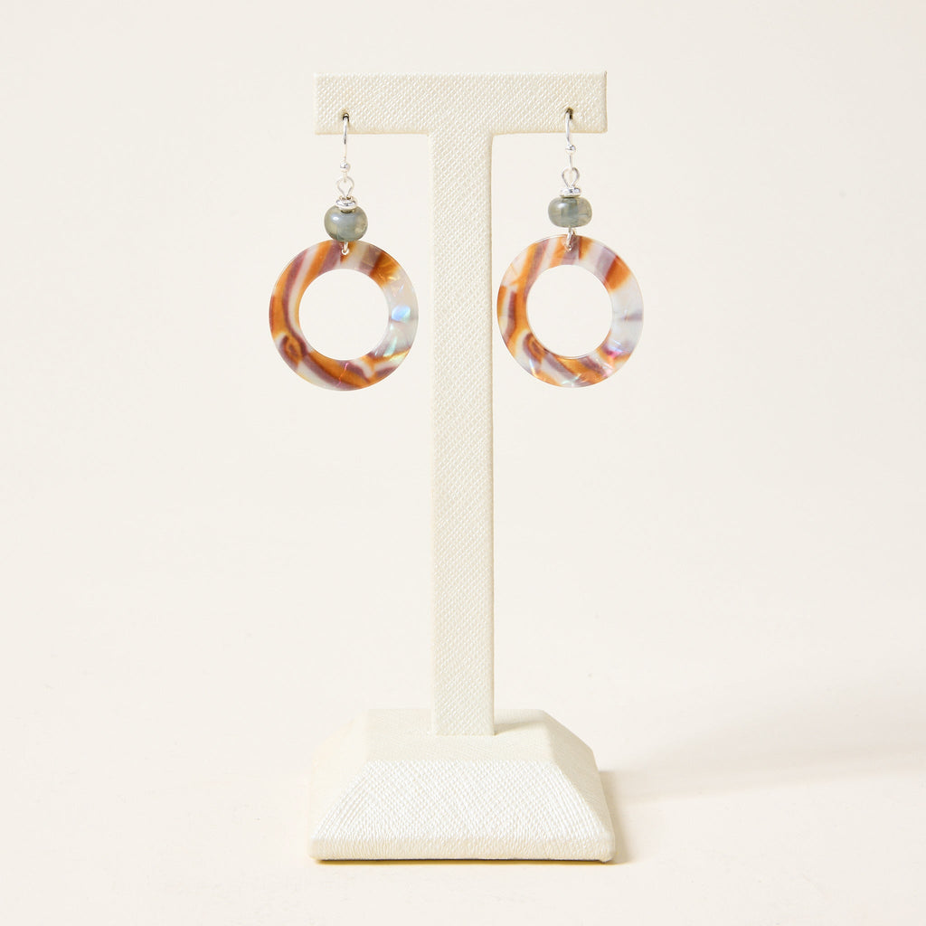 Multi Color Circle Drop Fishhook Earrings