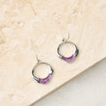 Enamel Drop Fish Hook Earrings